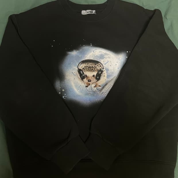 우주를 떠도는 고독한 고슴도치 맨투맨