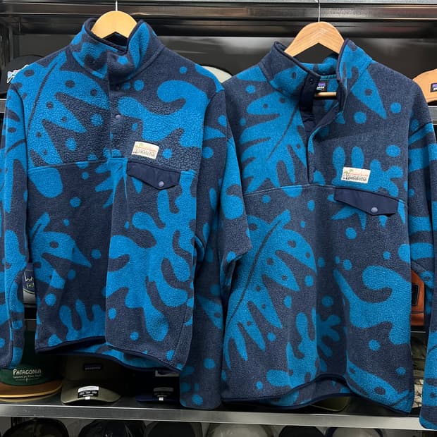 파타로하 신칠라 S . L