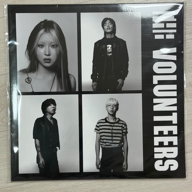 더 발룬티어스 The Volunteers LP