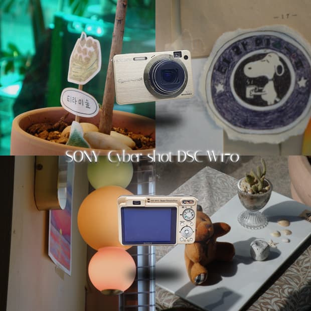 작례⭕️  사이버샷 DSC-W170