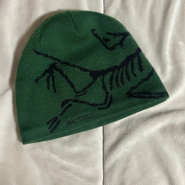 아크테릭스 비니 팝니다!