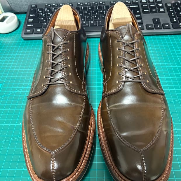 알든 시가쉘 V-Tip 블러처