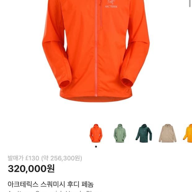 아크테릭스 스쿼미시 페놈 팝니다