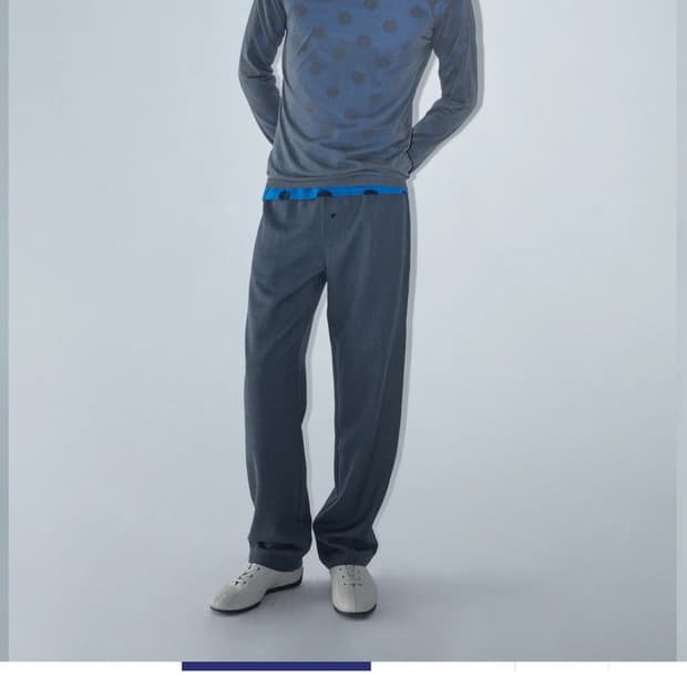 [S] 팔로마울 게일 팬츠 / paloma wool gales pants