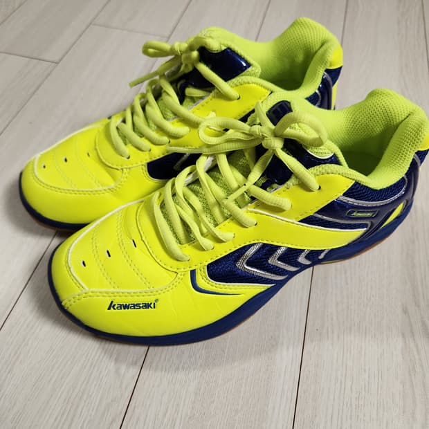 가와사키 배드민턴화 사이즈240

여러 중고사이트에도 같이 판매하고 있어