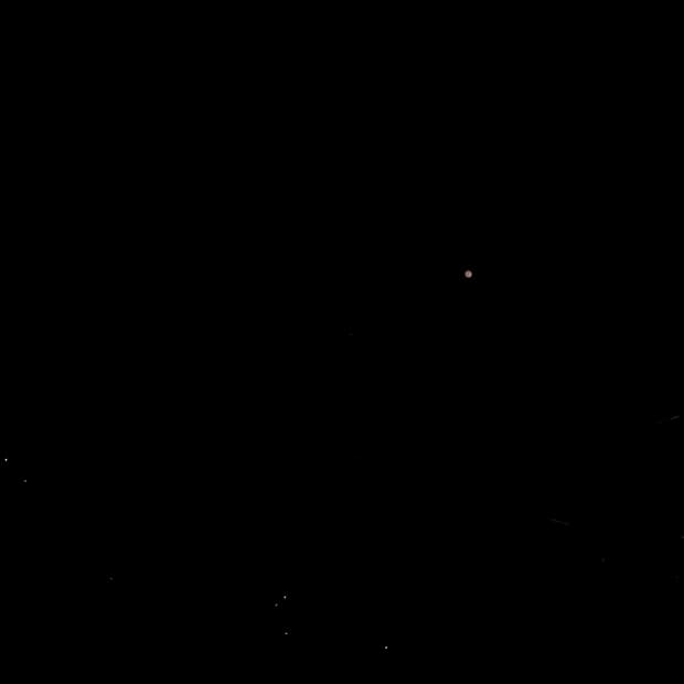 옷들 다 묶어서 팝니다!!(오스트리야 제외)