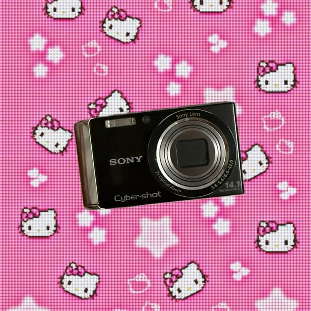소니 사이버샷 dsc-w370