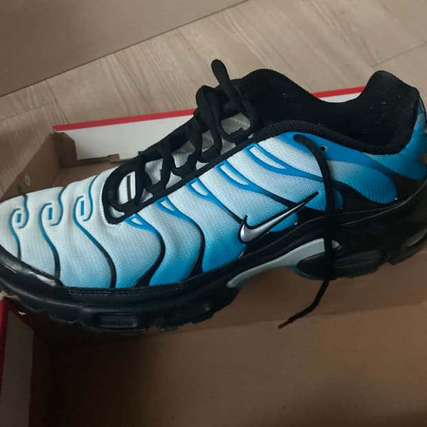 Nike air max plus blue gradient (285)