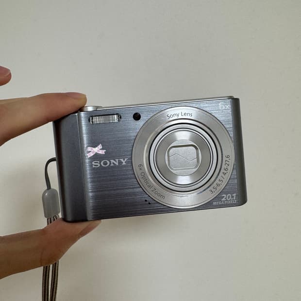 소니 사이버샷 DSC-W810 디카 디지털 카메라 (작례 포함)