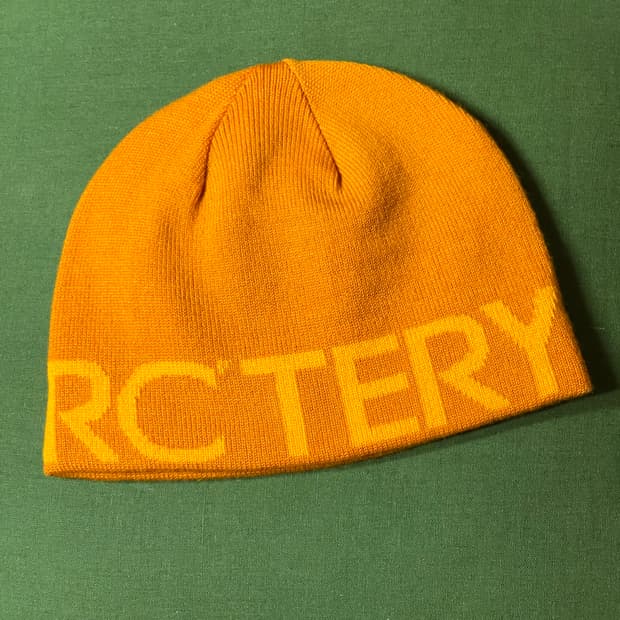 아크테릭스 비니