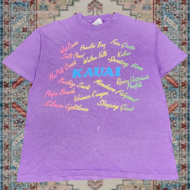 90s Made in USA 헤인즈 하와이 카우아이 자수 티셔츠 L