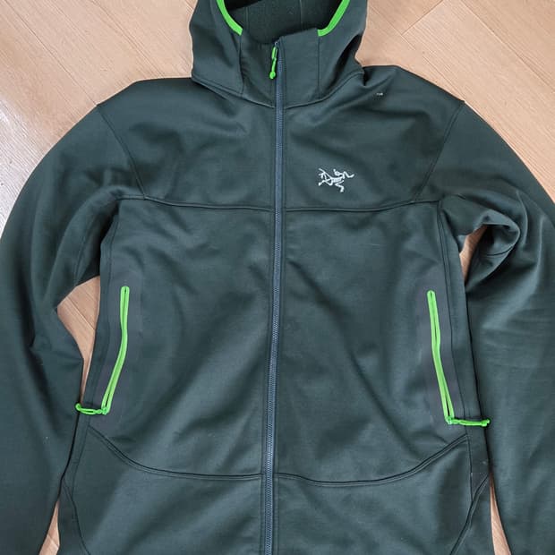 아크테릭스 아레나이트 남성 L