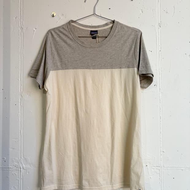 patagonia t-shirt  