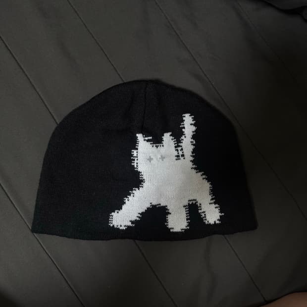aeae 에이이에이이 고양이 플래시 비니