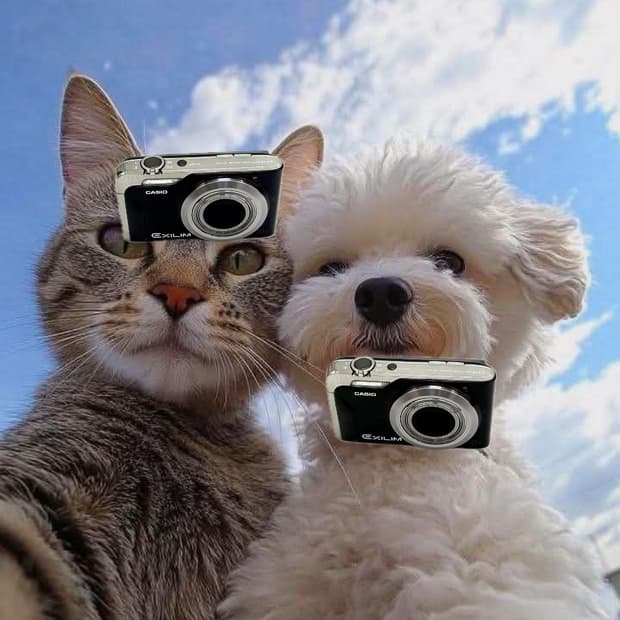 메이크업모드&초희귀!) Casio Exilim EX-H10 디카 카메라