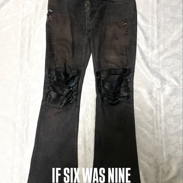 If six was nine zebra mudmax