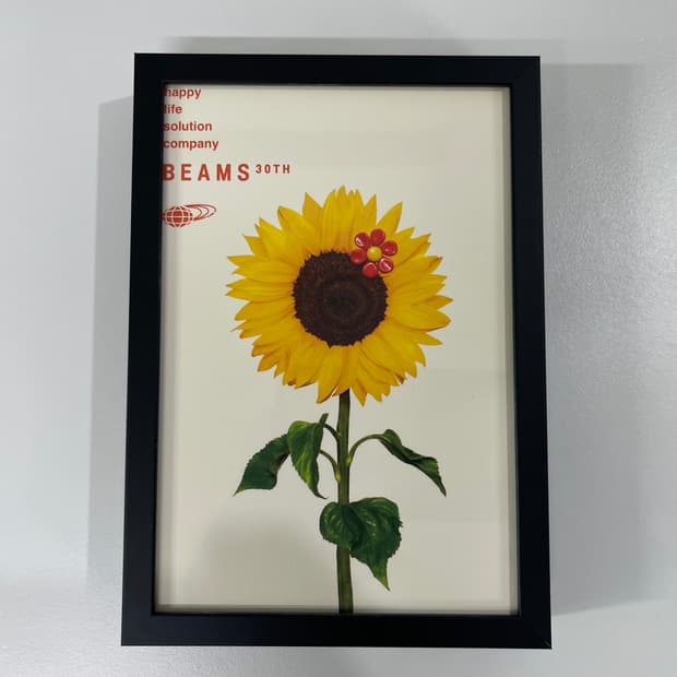 빔즈 30주년 기념 한정 아트 포토 Beams AD2006