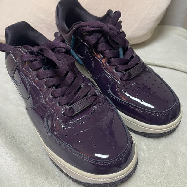 나이키 에어 포스 1 SE 프리미엄 220