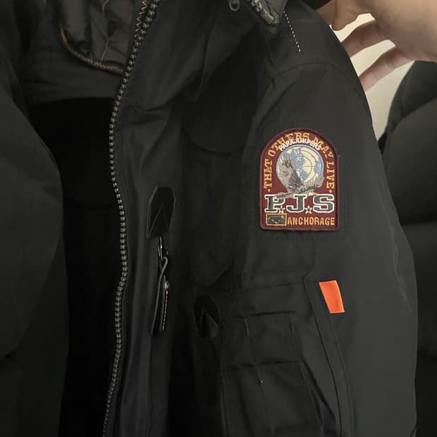 파라점퍼스 고비