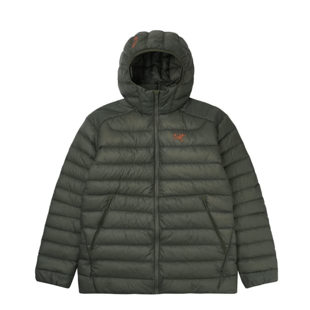 구매) 아크테릭스 세륨 포리지 베르베 xl