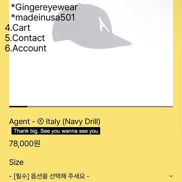 테프스토어즈 에이전트 캡 라지