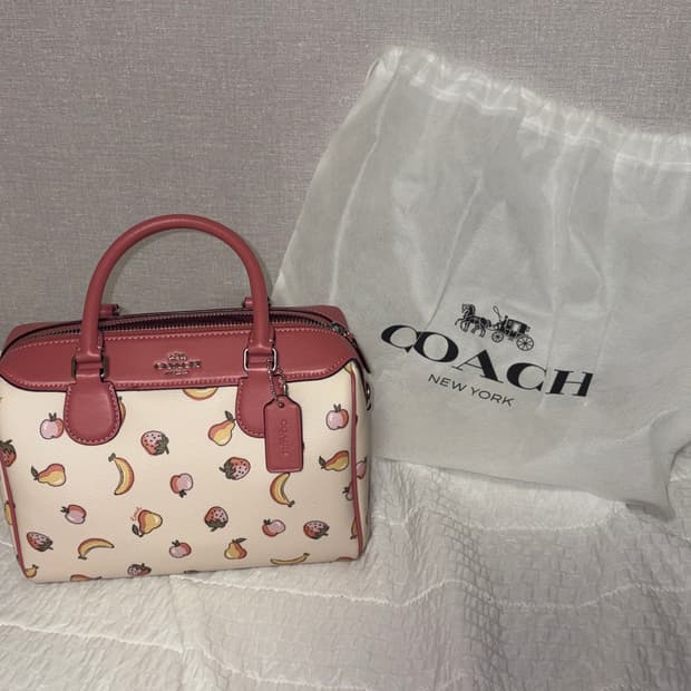 코치 미니 사첼