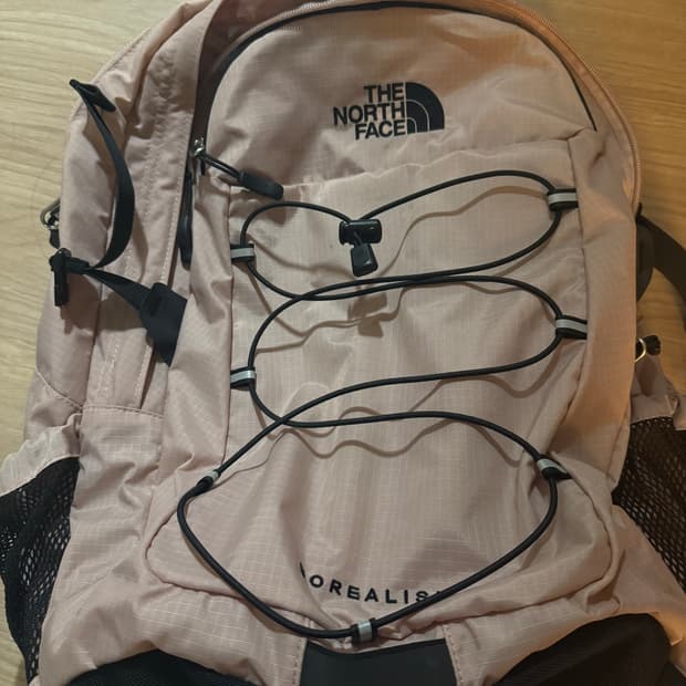 노스페이스 보레알리스 2 백팩 페일핑크