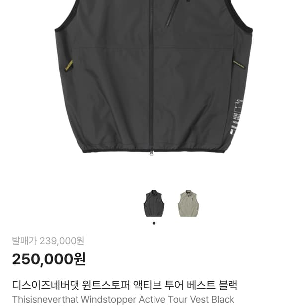 디스이즈네버댓 고어텍스 베스트 블랙 XL