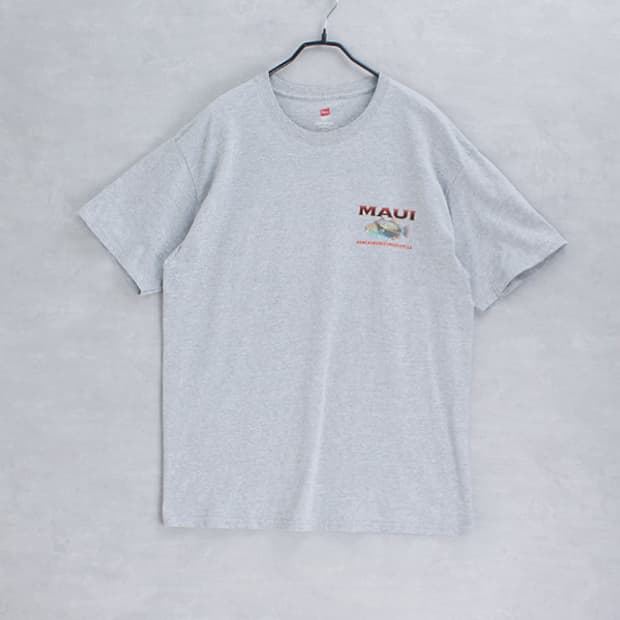 Hanes _ crew neck print tee