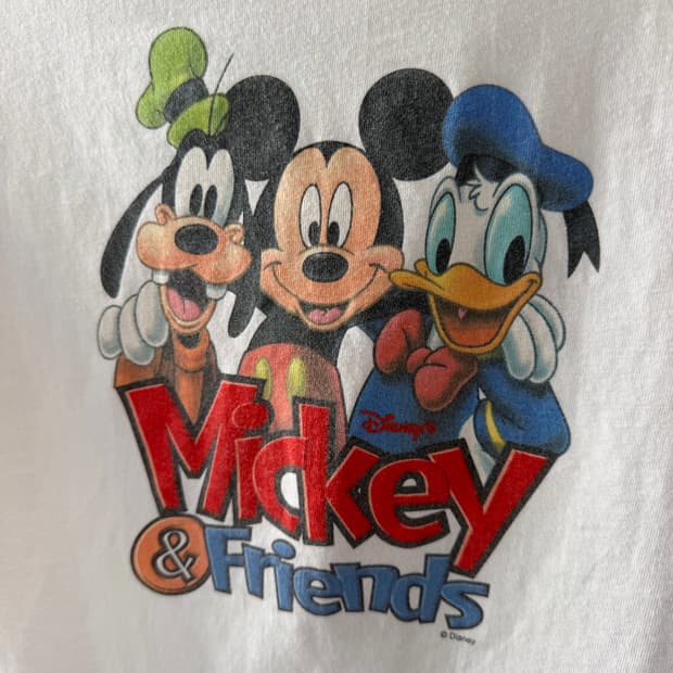 Disney Mickey & Friends