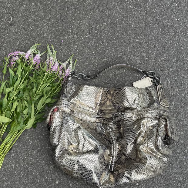 Coach Kristin Python Metallic Leather Ho