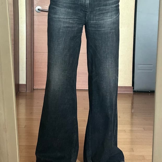 셀린느 플레어진