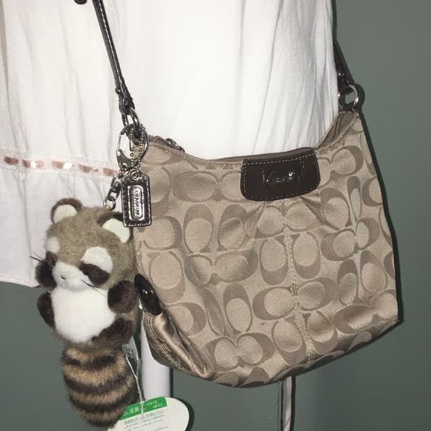 Coach mini crossbag