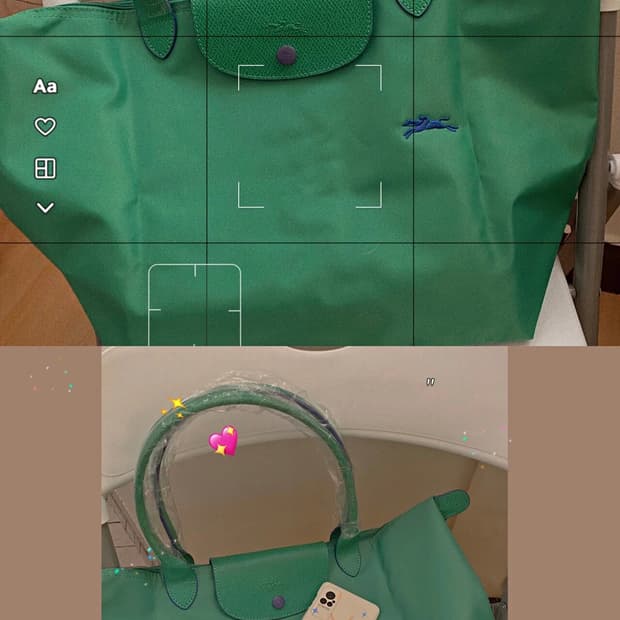 롱샴M