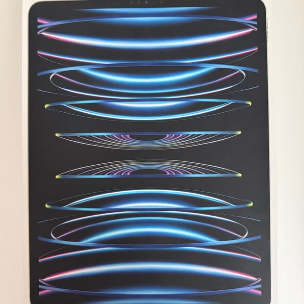 아이패드 프로 6세대 실버 12.9 256g wifi