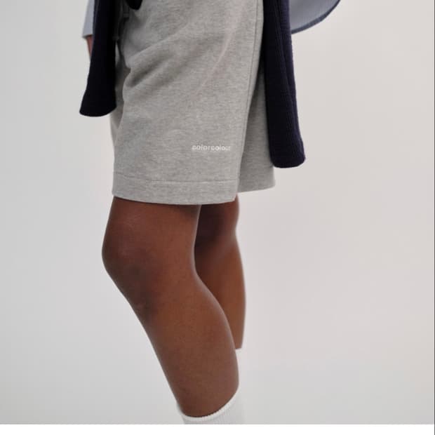 COLORCOLOUR SHORTS (grey) 1