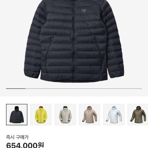 구매)) 아크테릭스 세륨 후디 L 블랙사파이어