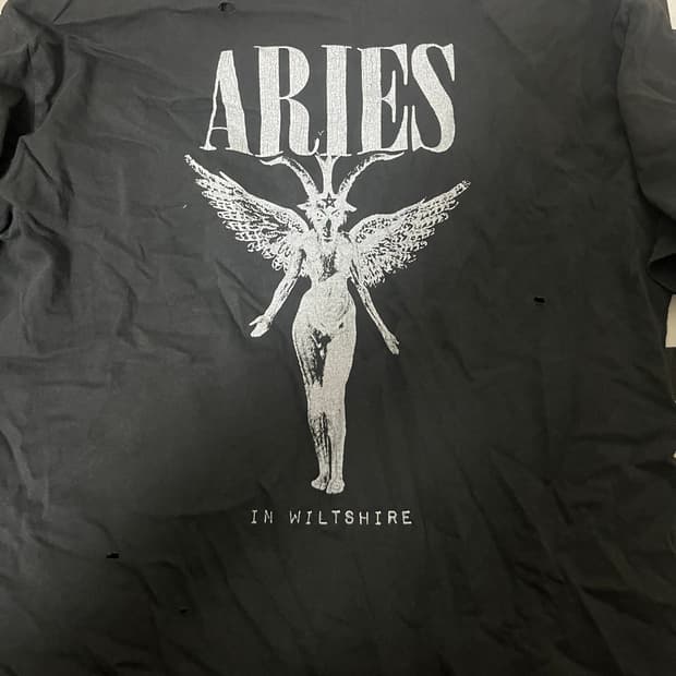 Aries destroyed nirvana ss tee xs