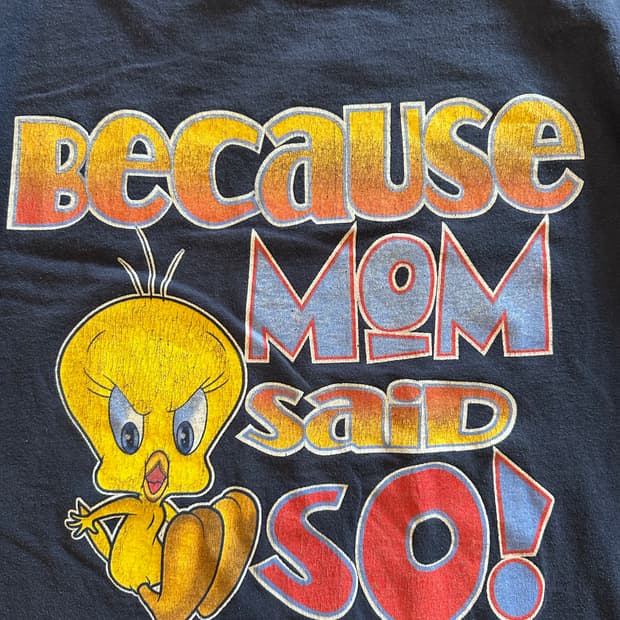 00s  루니툰즈 앵그리 트위티 "Mom Said So"