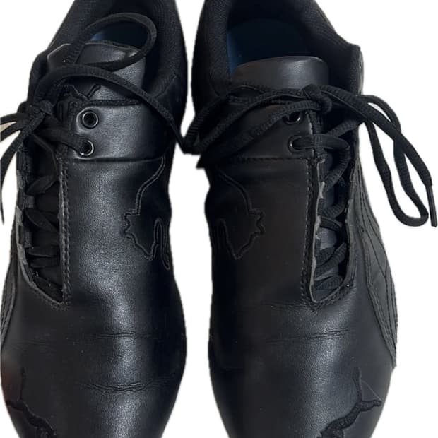 퓨마 x 페라리 퓨처캣