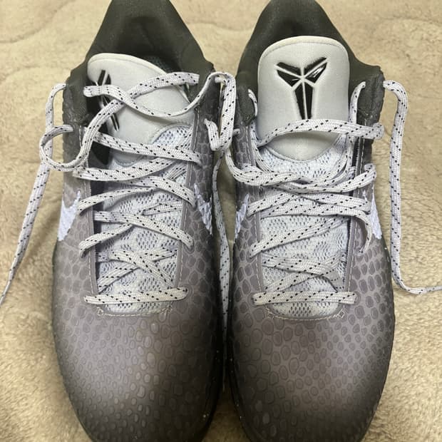 코비 6 EYBL 