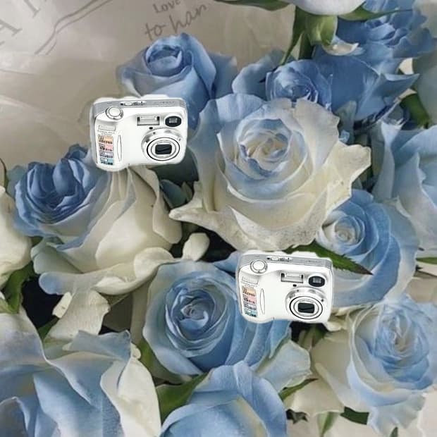 입문&강추!) Nikon CoolPix 4100 디카 카메라