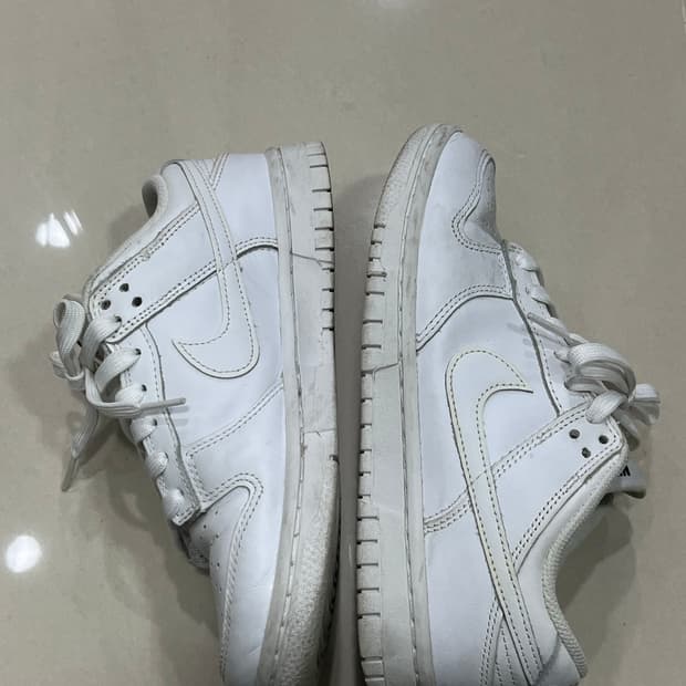 나이키 덩크 로우 화리트