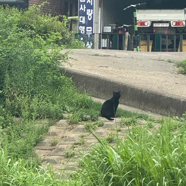 ddskoąqąqą님의 결제창