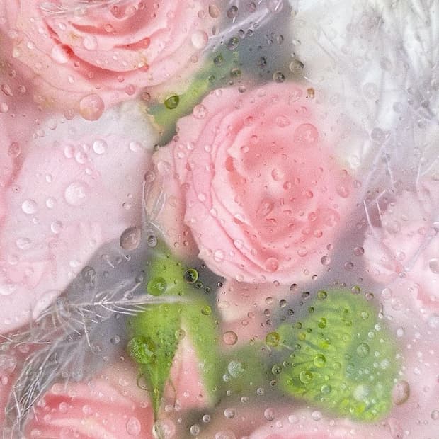 결제창입니다 :)