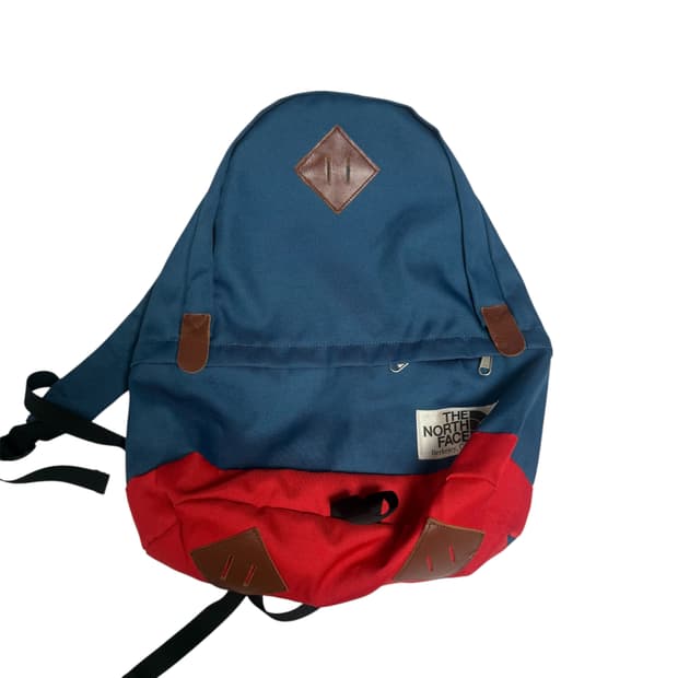 The North Face Color Block Backpack 21L