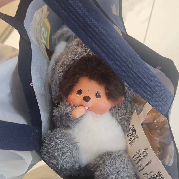 코알라 몬치치(호주 한정판)