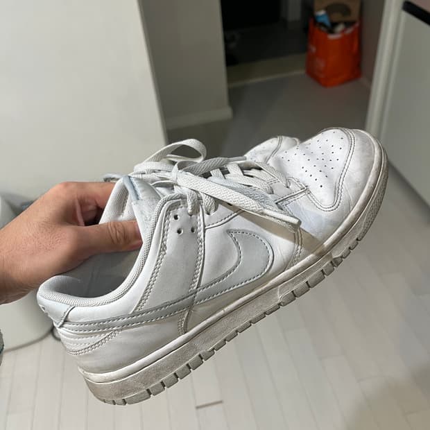 나이키 덩크 플래티넘화이트 255