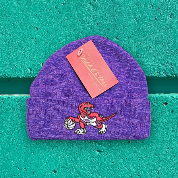 미첼앤네스 토론토 랩터스 비니