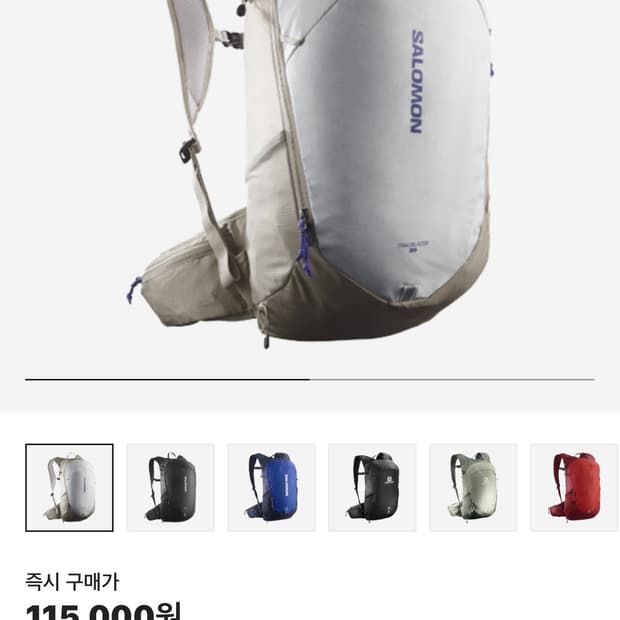 살로몬 트레일블레이저 20 그레이